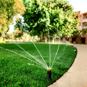 cum stropeste duza R-VAN Rain Bird